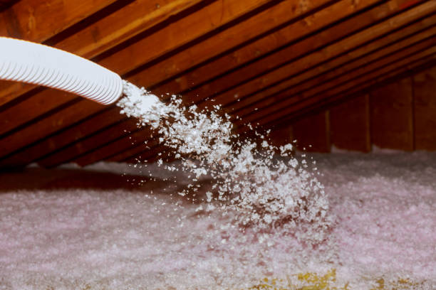 Best Insulation Installation Services in Santa Paula, CA
