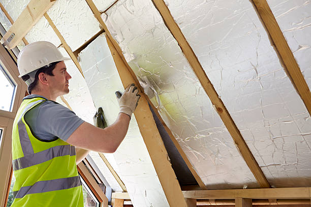 Best Insulation Maintenance and Repair in Santa Paula, CA